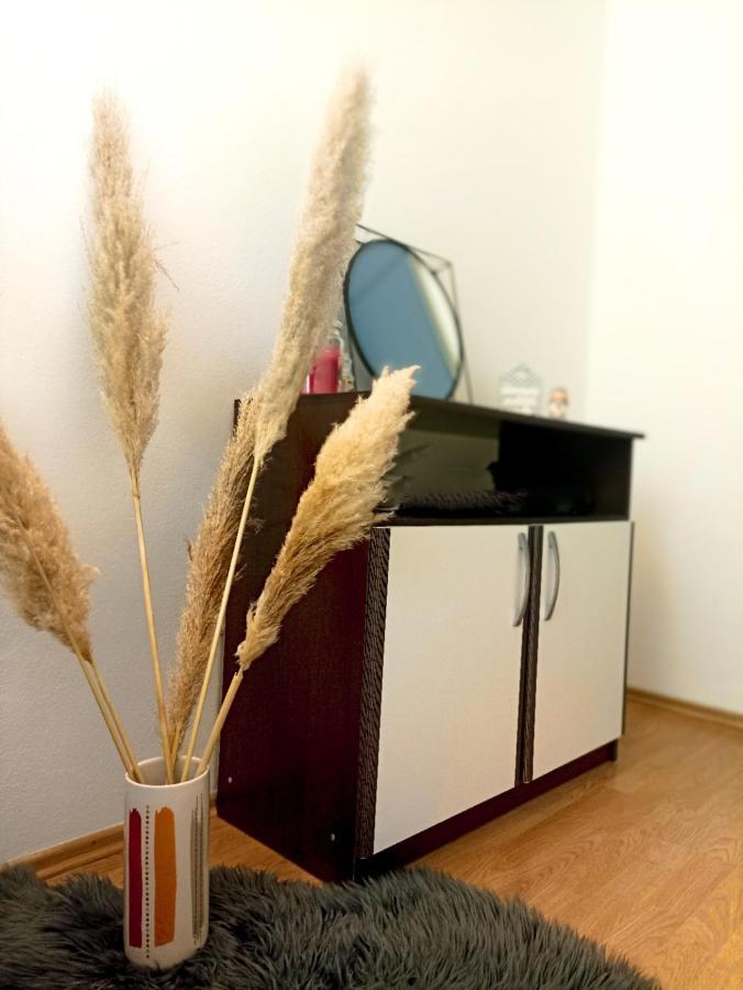 Apartment Three Roads Baška Voda المظهر الخارجي الصورة